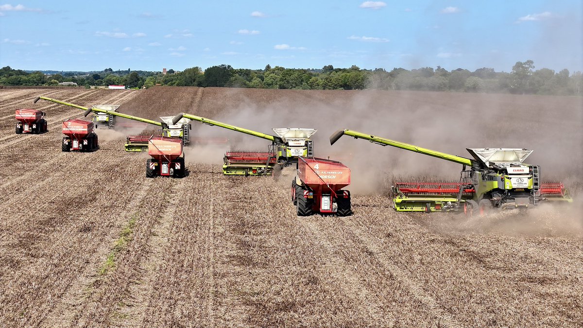 Tractorspotter's tweet photo. Harvest ‘24 over and out for @Pxfarms. Last field of beans cleared in style today. Video coming soon🎥 https://t.co/EZP9MACQsC