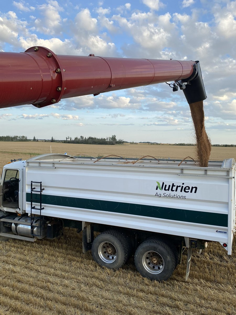 Randi Kuriga tweet media