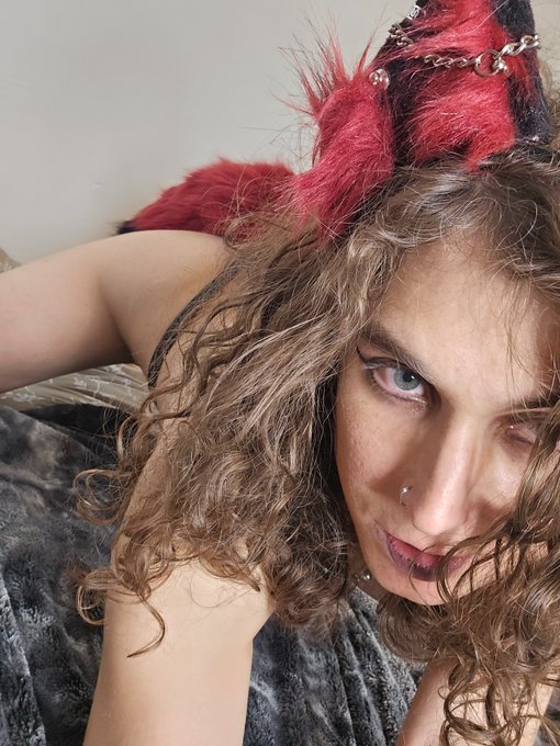 yea no she will def bite probably should put up a sign https://t.co/gfYav3pAlG