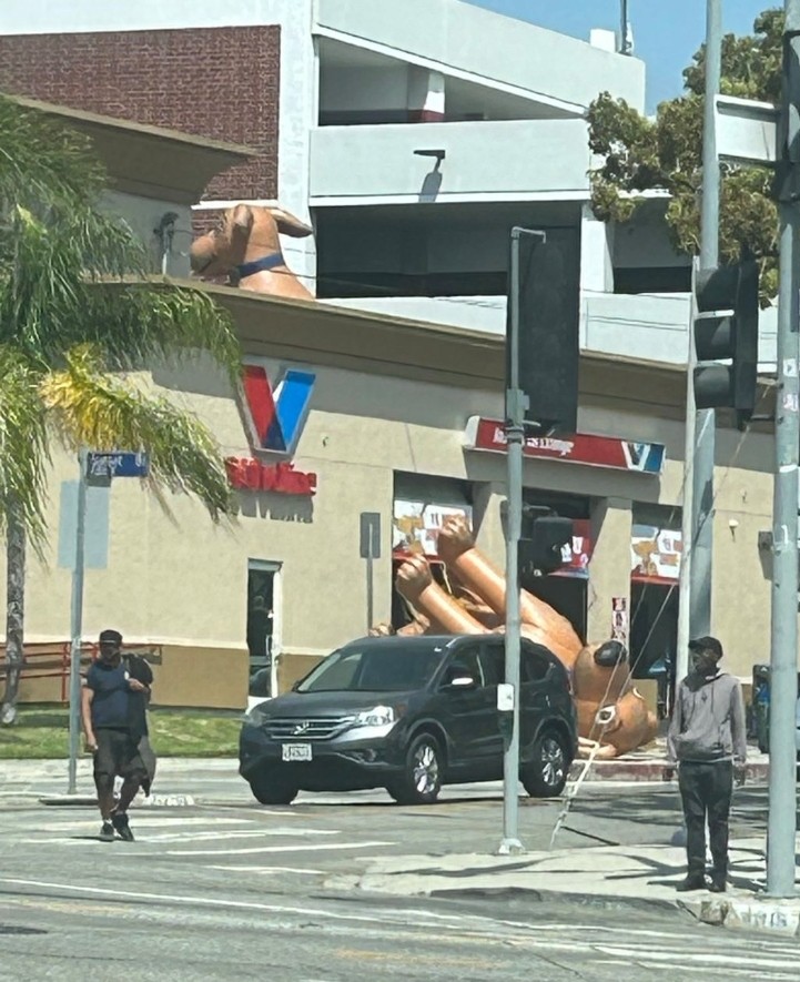 Okay but whats that dog in the back doing