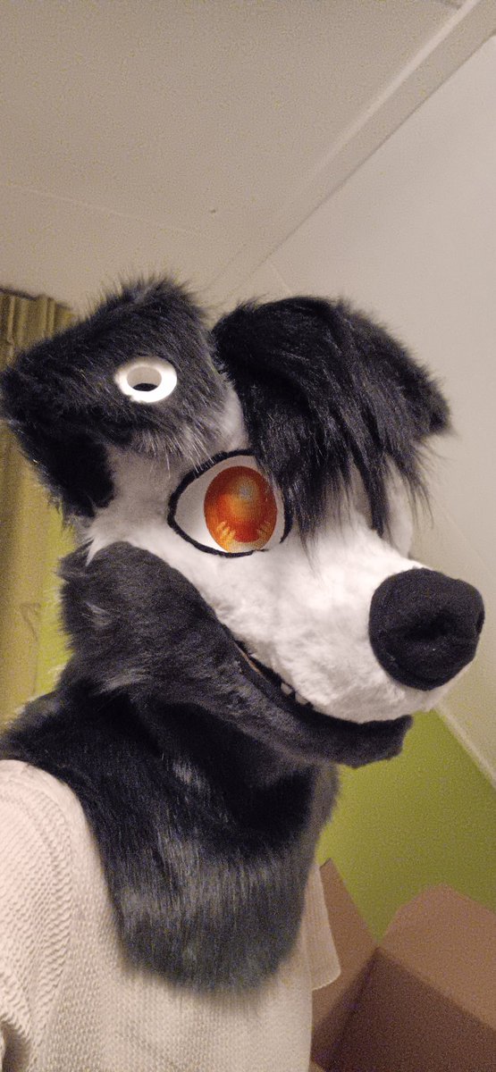 BASSDOGsongs's tweet image. hiiiiii!