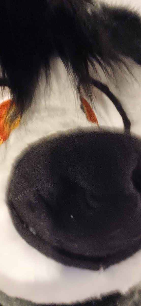 BASSDOGsongs's tweet image. hiiiiii!