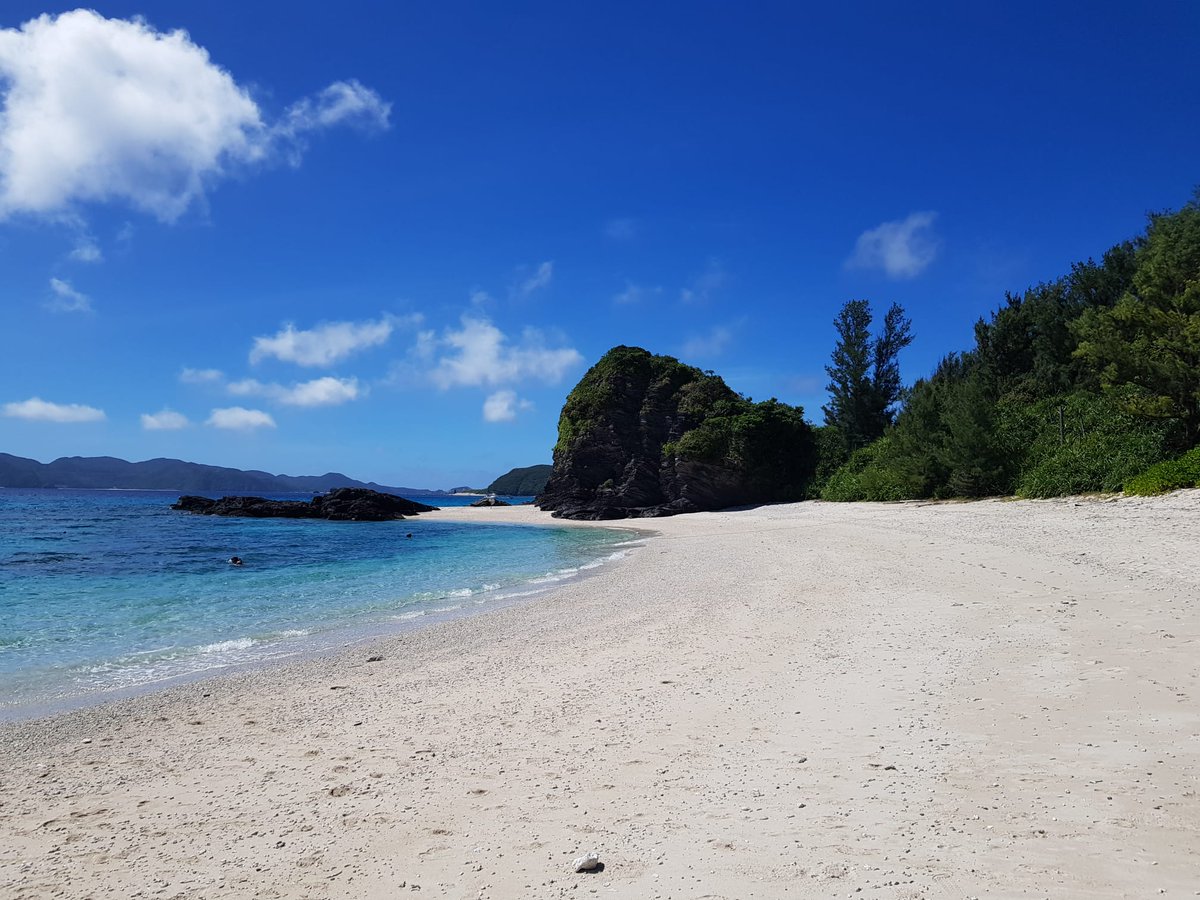 ohagivn's tweet photo. オケの新シーズンが始まったところです🍀夏休みの余韻にまだ浸りつつ……楽しかったなぁ🇯🇵 https://t.co/HIeCZbhlPm