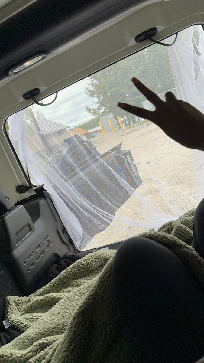CaliiBlu's tweet photo. Bonus pictures because I’m leaving Alaska soon 😌 https://t.co/4nWisFzS6D