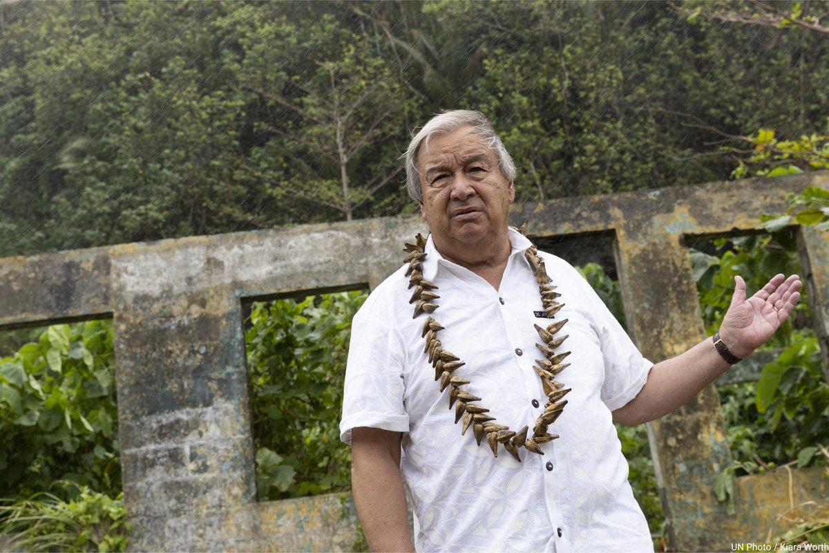 United Nations tweet media