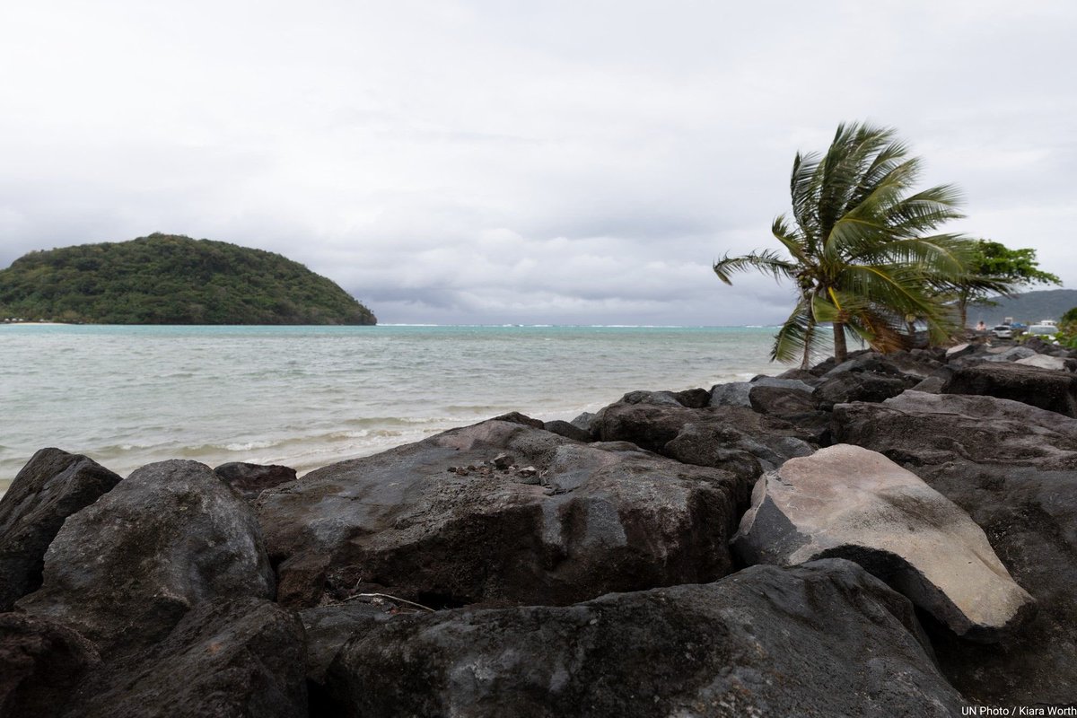 United Nations tweet media