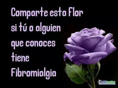 GloriaMargaCapr's tweet photo. Vamos a compartir esta rosa morada color asociado a la #fibromialgia 
#visibilizar https://t.co/J5yTBF0n4d