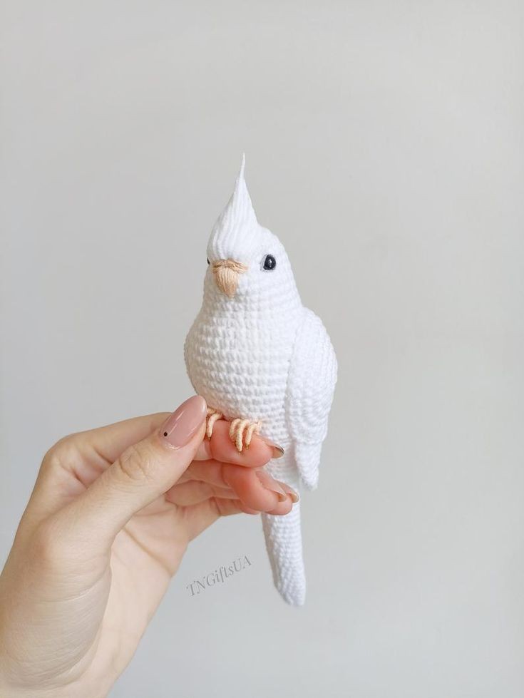 <a href="/ambroisievnmx/">𝒬𝑢𝑒𝑒𝑛 ℴ𝒻 𝒫𝑜𝑖𝑠𝑜𝑛᭧ ‍ ‍</a> Y en segunda instancia, les presentamos a 𝘚𝘪𝘯 𝘕𝘰𝘮𝘣𝘳𝘦 (Gus estará encargado de ponerle uno), quizá sea algo extraño de asimilar en un principio, se trata de un pequeño pájaro... 𝘍𝘳𝘢𝘯𝘬𝘦𝘯𝘴𝘵𝘦𝘪𝘯, con un poco de magia logramos arrebatarlo de su inanimada vida de +