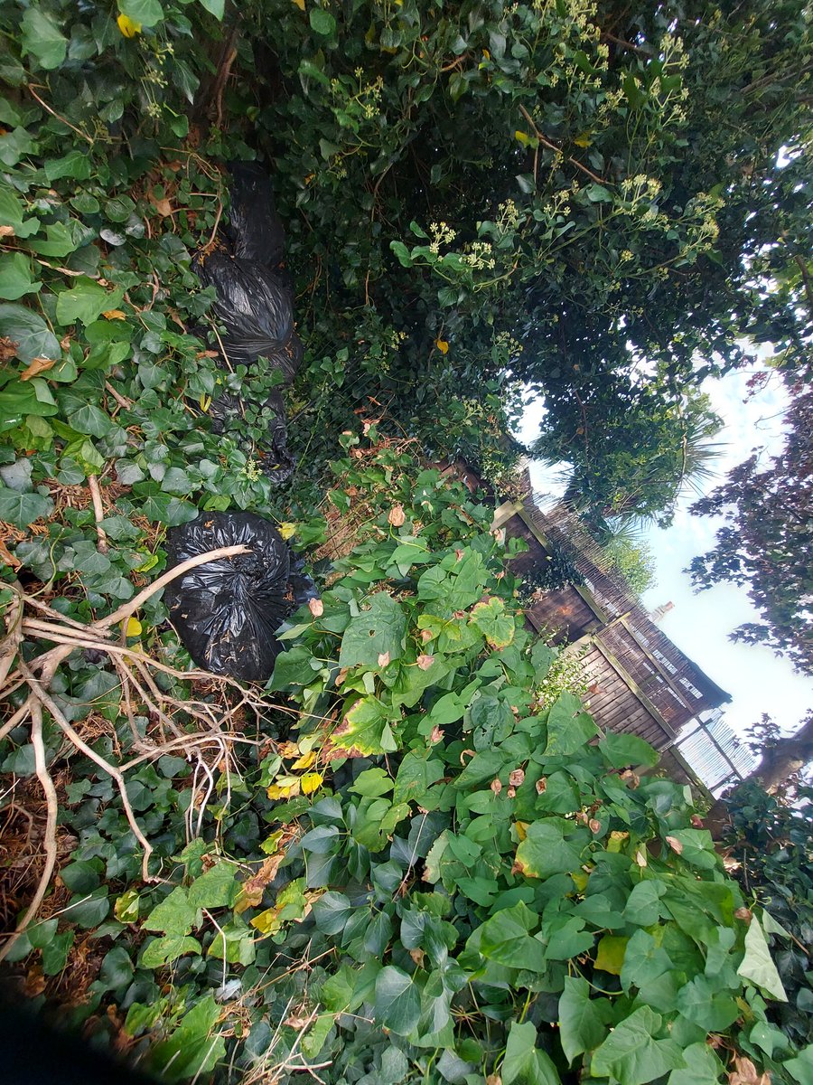 castle_clean's tweet photo. An evening litter pick at School Lane Car Park.  17 sacks found including 5 filled from a household waste flytip 😢 #keepbritaintidy #litter https://t.co/nfD56mWTp3
