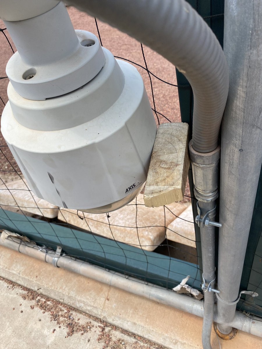 Aggie Softball Managers tweet media