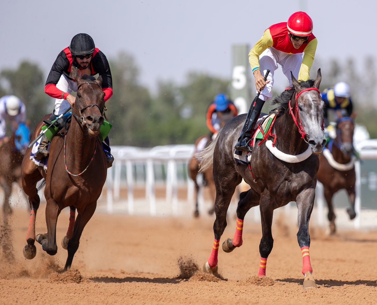 اللهم لك الحمد الانتصار الثاني هالاسبوع بميدان الملك خالد ع الجواد ماي نايف 🤍

المالك ، مبارك ذيب الهاجري