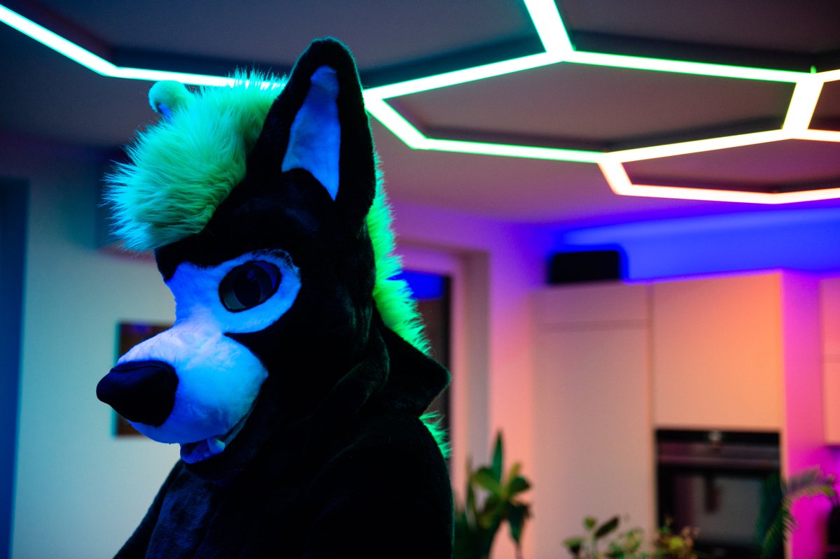 First ever #FursuitFriday 

is this how it works?