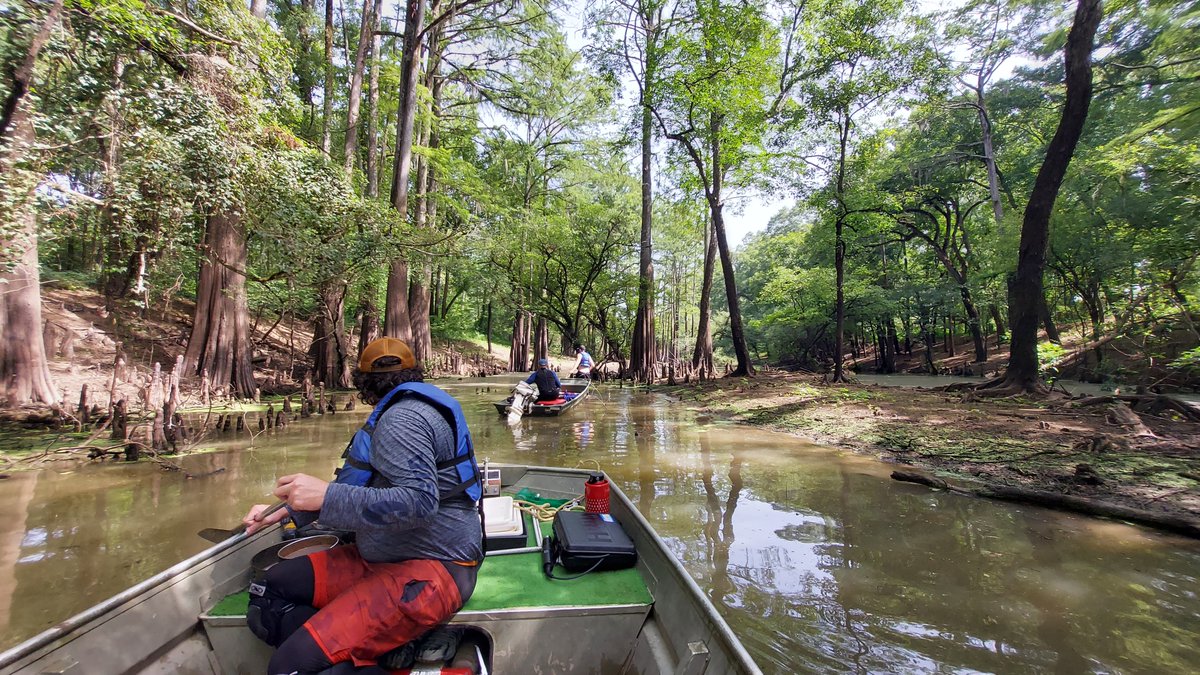 There are few ways to keep mollusk surveys interesting...🐊🐍🦎