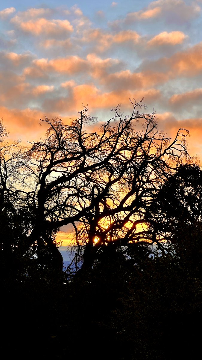 Most mornings, I go for a sunrise hike to get my 10K steps and clear my head for the day.

Today, I spent 15 minutes convincing myself to skip it, but then I remembered what I used to tell my athletes (back in my HS coaching days): it’s what you do when you’re not motivated that