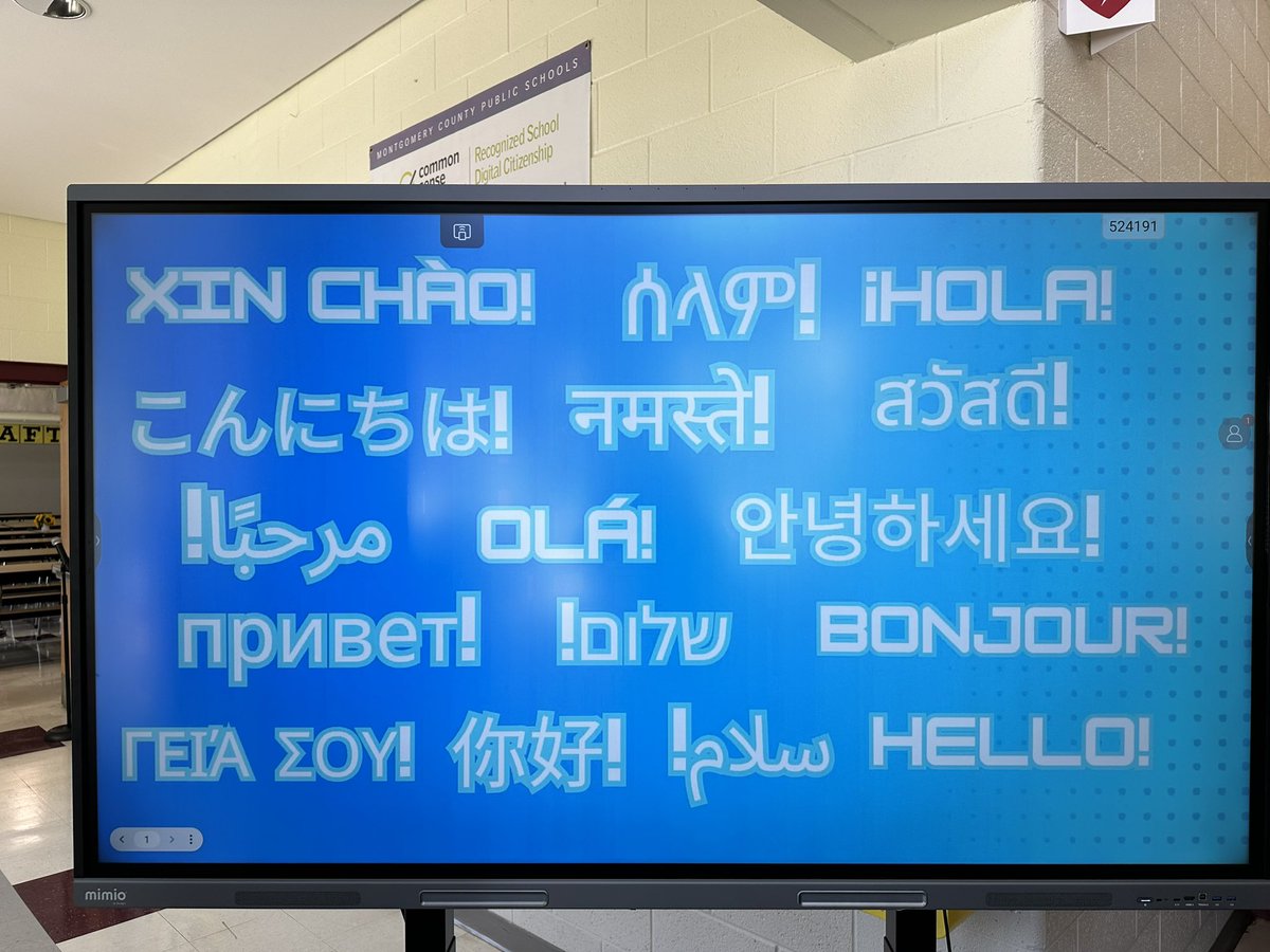 Angie Fish tweet media