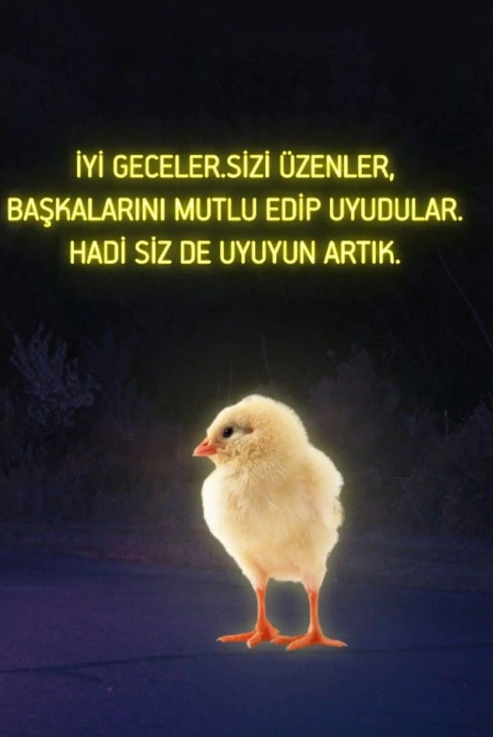 .......... 😶😶

#sonuç #istifa #suriyeli #FayeYoko #LingOrm #bist100 #ARMYStandsWithSuga #digitalart #gamescom2024 #Borsaistanbul #الخميس_الونيس