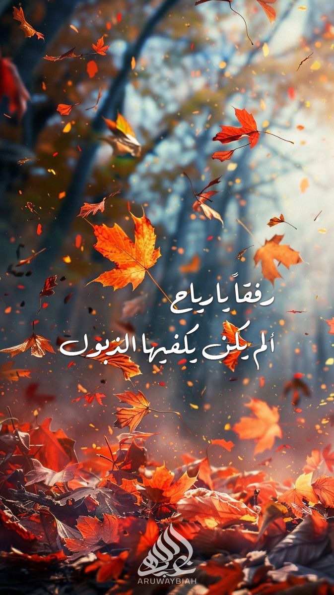 aruwaybiah's tweet photo. رفقاً يارياح ..
ألم يكن يكفيها الذبول .. https://t.co/gr4Cd4j5nR