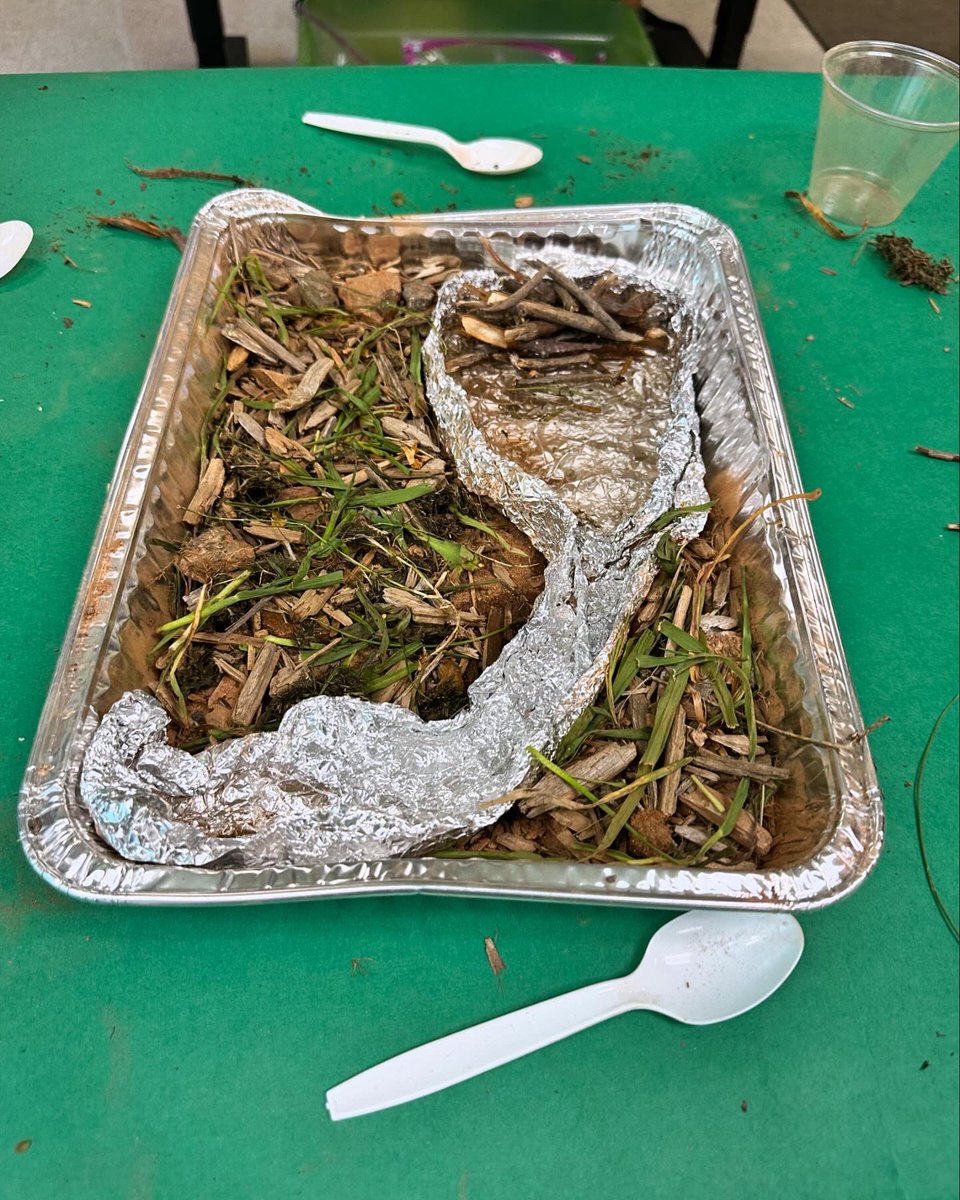 TuttlesClass's tweet image. Creating models of bodies of water 
@WSFCS_Science