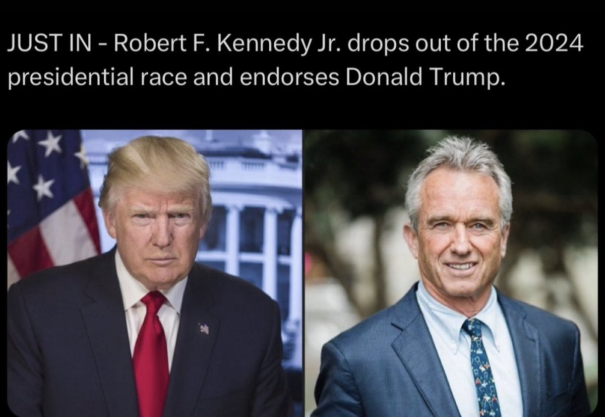 Republican Coin ($REP) tweet media