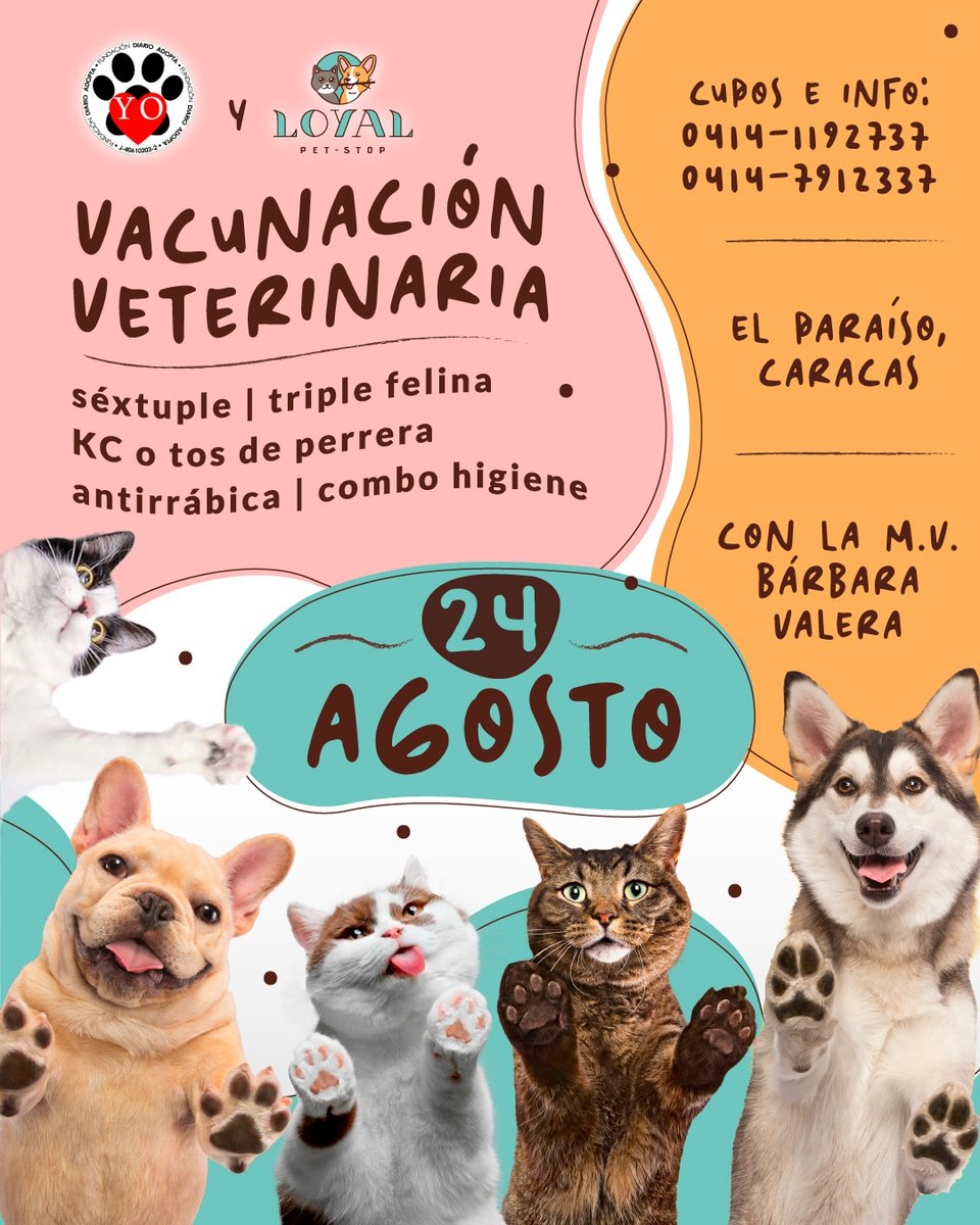 LoyalPetStop's tweet photo. Mañana Jornada de Vacunación a bajo costo para perros 🐕 y gatos 🐈 cupos al 0414-7912337 El Paraiso, Caracas @diarioadopta https://t.co/2nZwmgrPrf