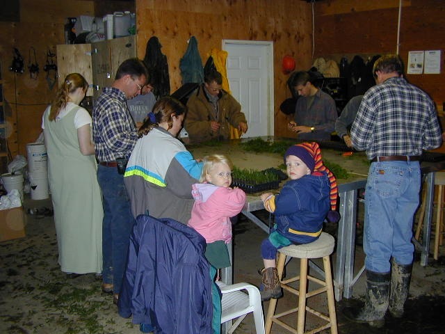 Qualitree tweet media