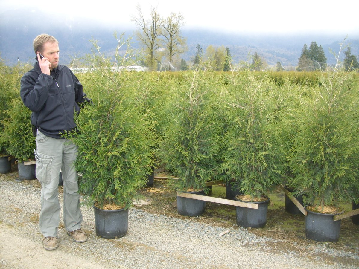 Qualitree tweet media