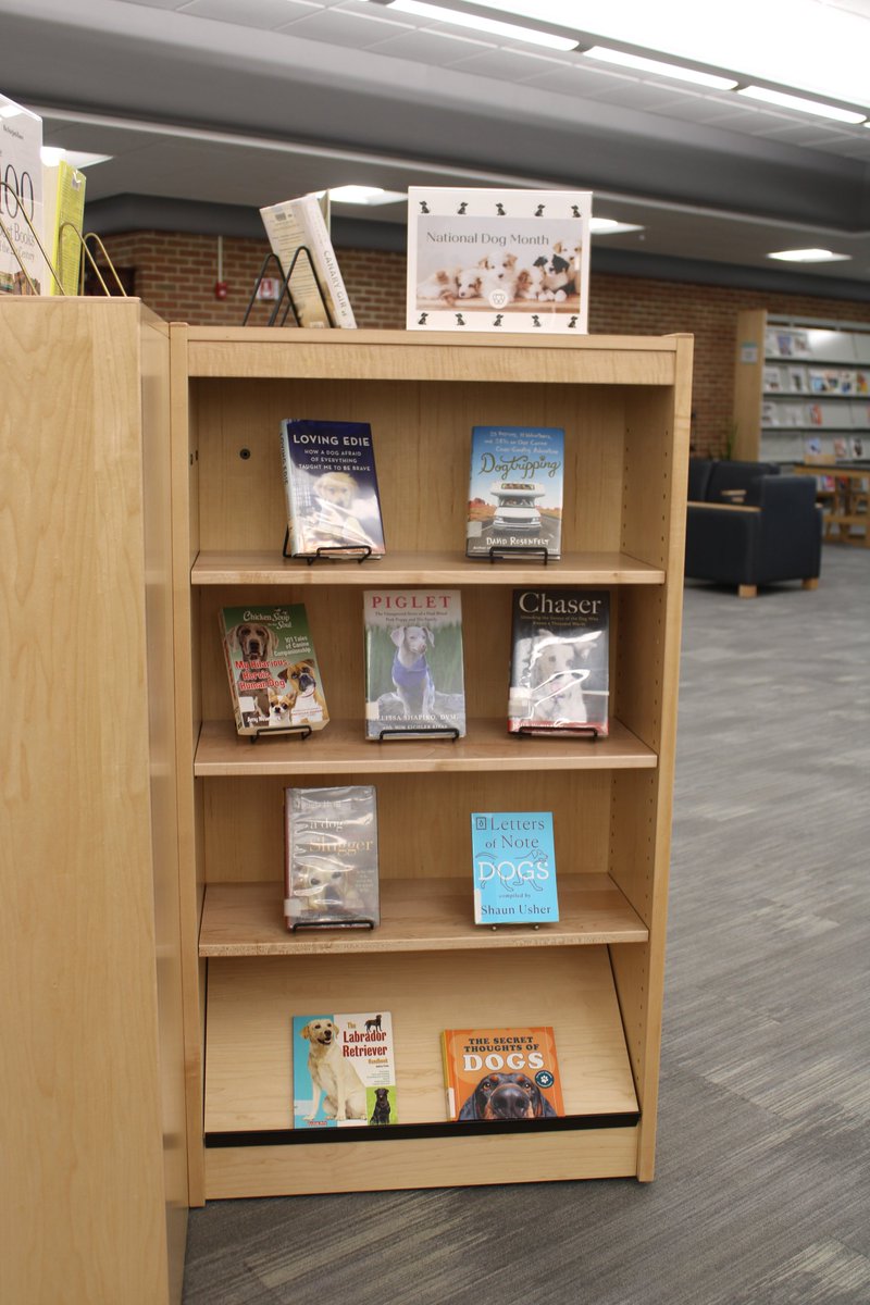 WTCPL's tweet image. In honor of August 26th as #NationalDogDay stop by the #WTCPL and check out a book or movie to celebrate these special pets! #LibraryDisplay #WarrenLibrary