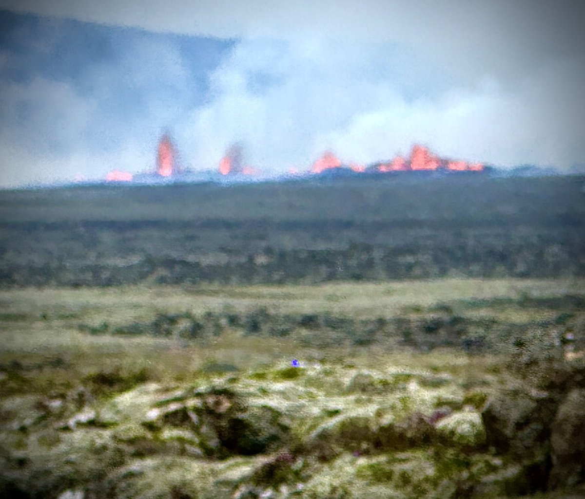 RealRonHoward's tweet photo. #Iceland #VolcanicEruption  Our hotel was too close to this and had to close.  Some of those geysers of fire and lava are 75 to 100 feet.  All safe and sound and totally under control by authorities   but….wow https://t.co/KvtJIjvVQI