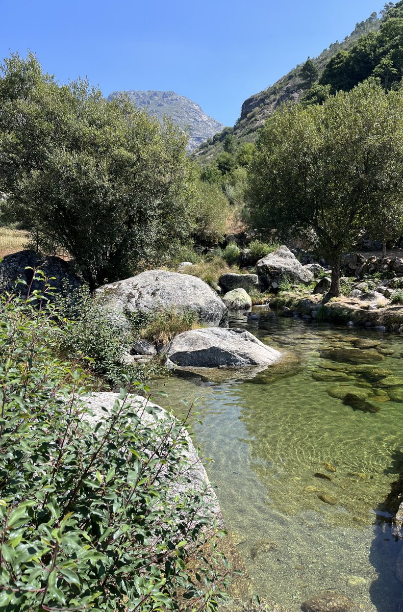 Some pretty sights from this week! 😊