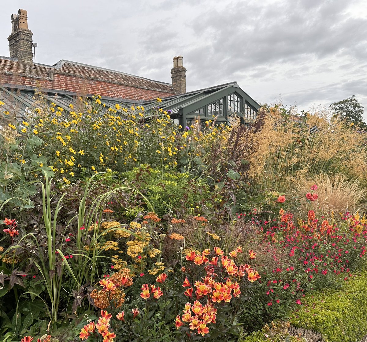 landscape717's tweet photo. Colour + imagination awaits one at Kitchen Garden of @WimpoleEstateNT- vibrant colour palette is awakening with gorgeous array of vegetables + herbs, #dhalias, #salvias #verbenas #sunflowers + special tour around the hot chili collection is highly recommended- top #horticulture! https://t.co/40X7HRcwEq