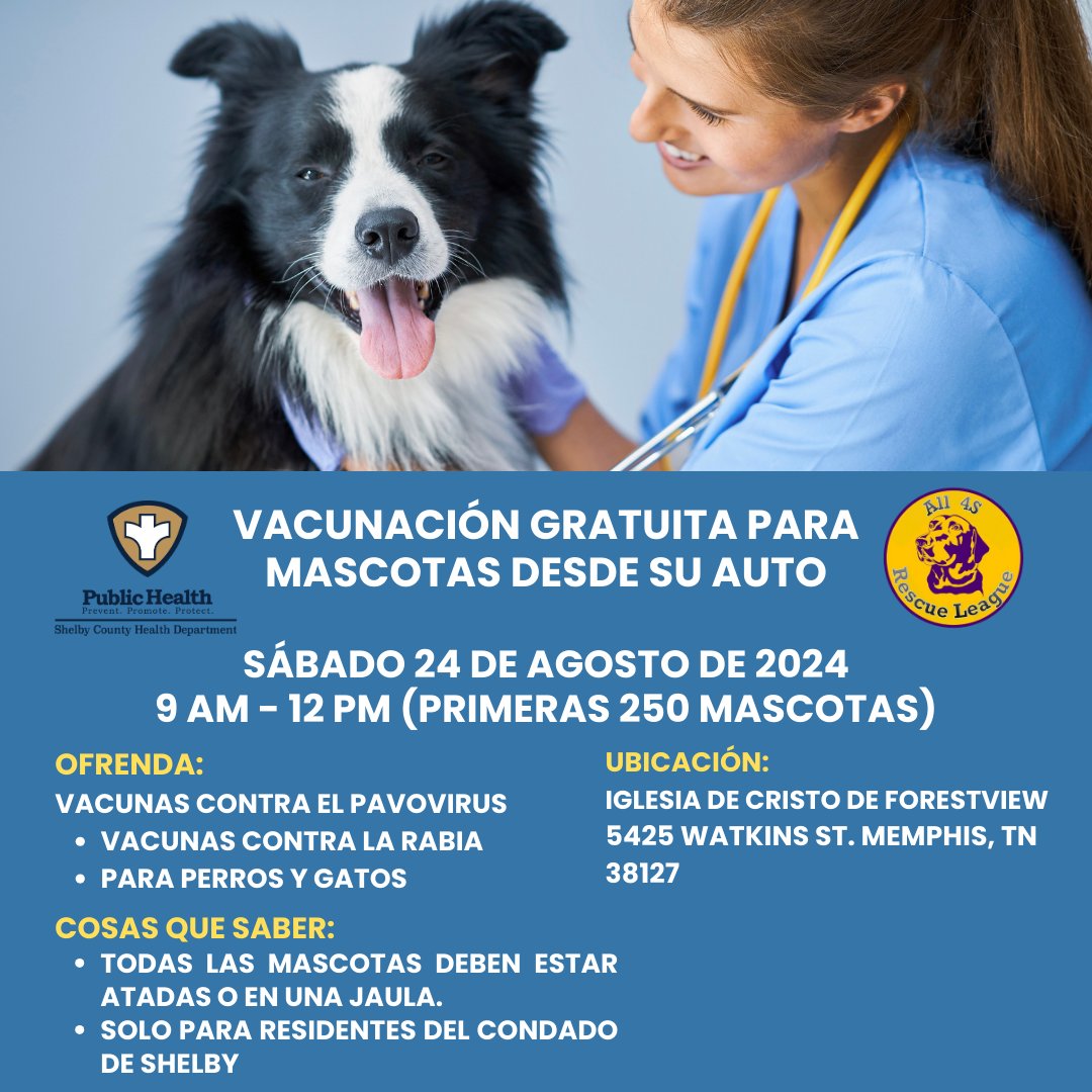 ShelbyTNHealth's tweet image. Tomorrow, @ShelbyTNHealth &amp;amp; @all4srescueleague will host a drive-thru pet vaccination clinic 9am-12pm at Forestview Church of Christ at 5425 Watkins St in Northaven. Get free rabies &amp;amp; parvo vaccines for dogs &amp;amp; cats. For @ShelbyCoTN residents only-1st 250 animals.