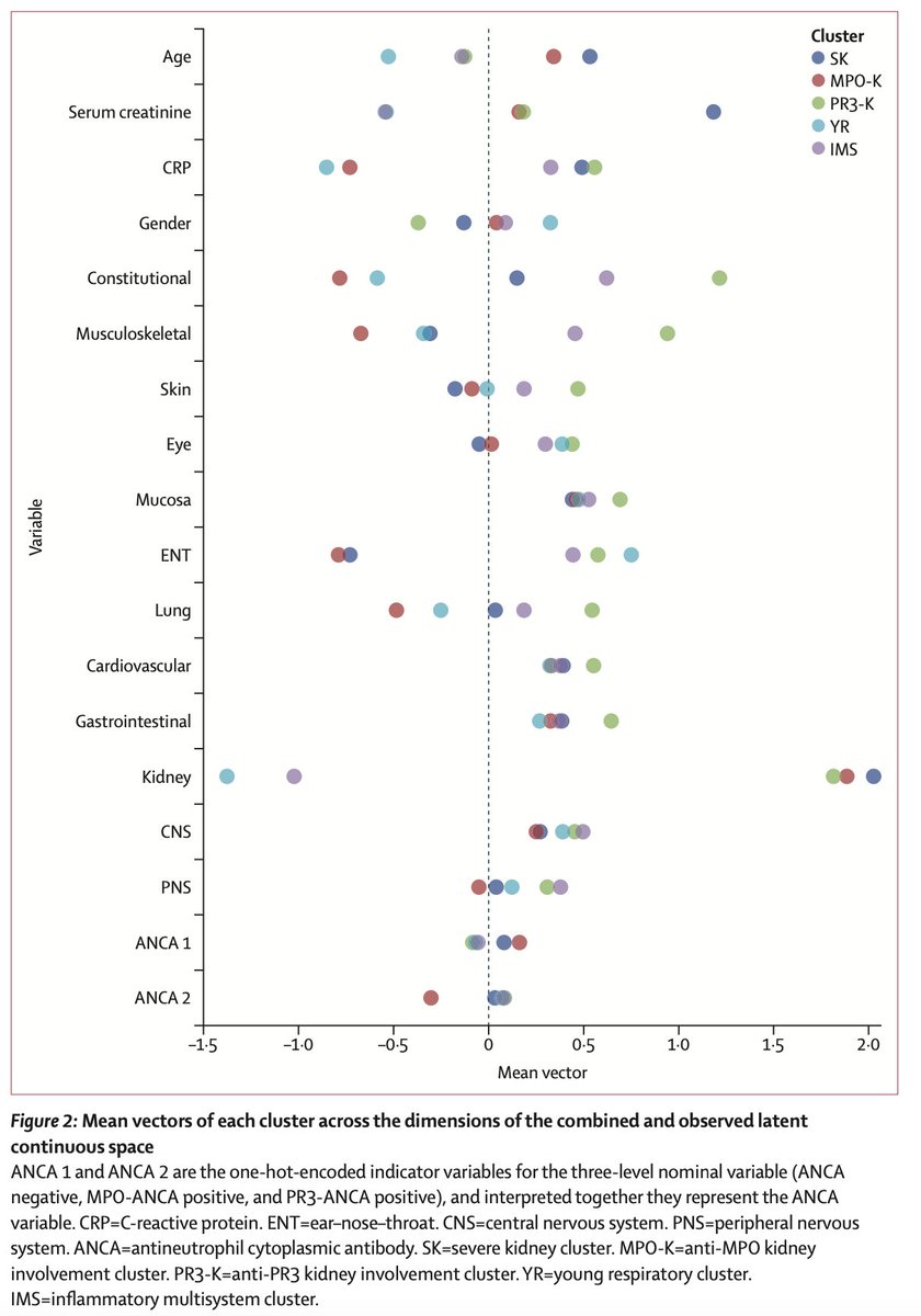 Karl Gisslander et al. identified 5 clusters of AAV, 3 of which  characterized by kidney involvement. Compared with  clinical diagnosis or ANCA status, cluster-based models showed improved predictive power for both patient and kidney survival. <a href="/fairvasc/">FAIRVASC</a> <a href="/TheLancetRheum/">The Lancet Rheumatology</a>