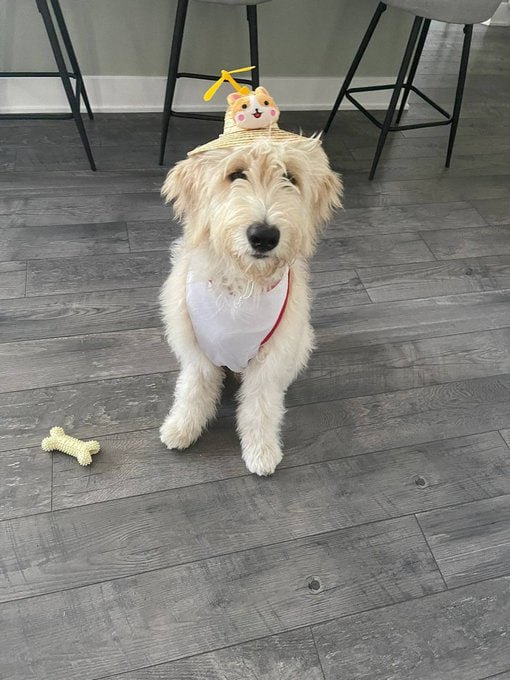 Spend less time hating other people. Give your loved ones some time.