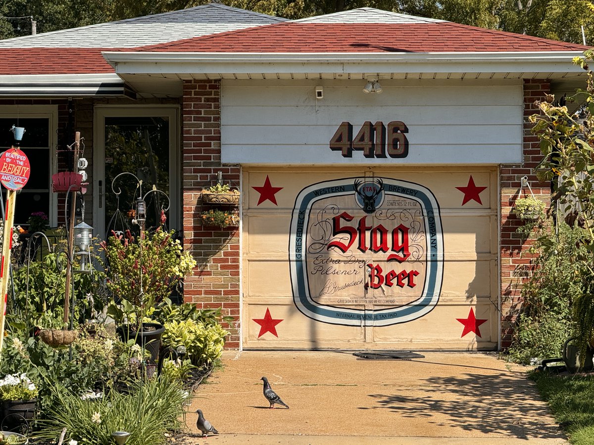 Chicken Joe 🐔 tweet media