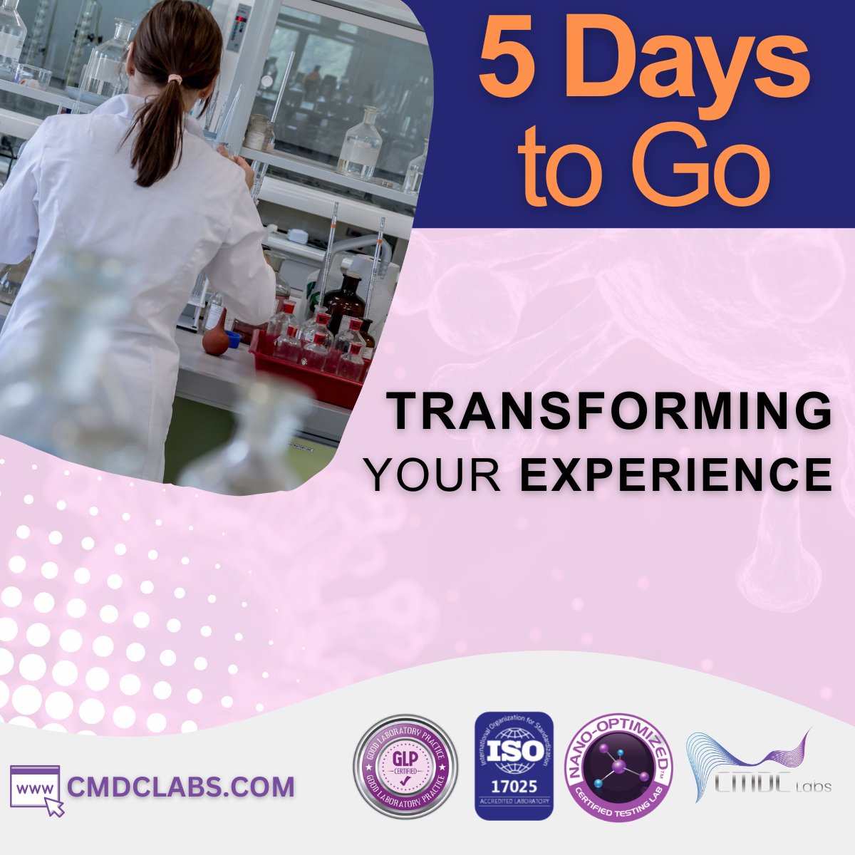 CMDC Labs tweet media