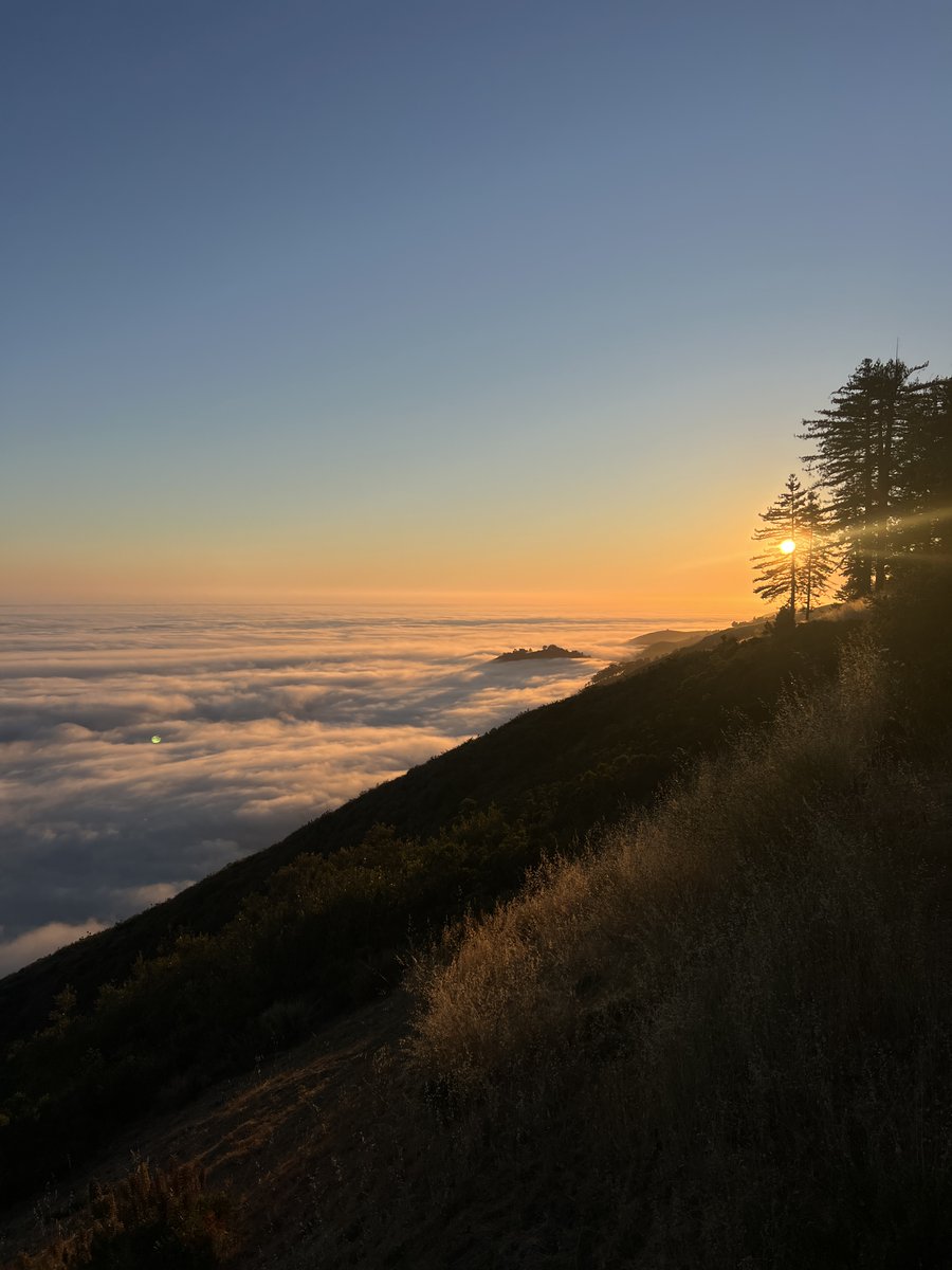 The sun sets beyond the cliffs of Big Sur, casting a golden glow over the landscape and illuminating the tree-lined ridge. Below, a sea of clouds stretches out covering the ocean, creating a surreal and breathtaking scene of nature’s beauty.

photography #saradavisstudio
