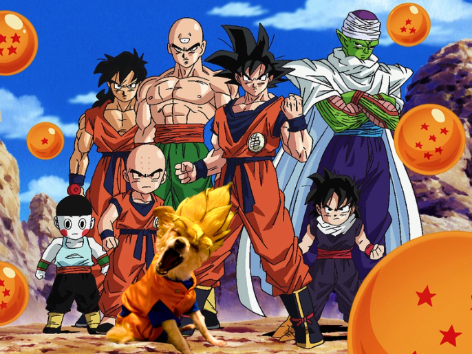 gokudogsolana's tweet photo. When the whole telegram locked in...

$GOKU

https://t.co/fEvWCUMFzO https://t.co/ED2iE2CBj5