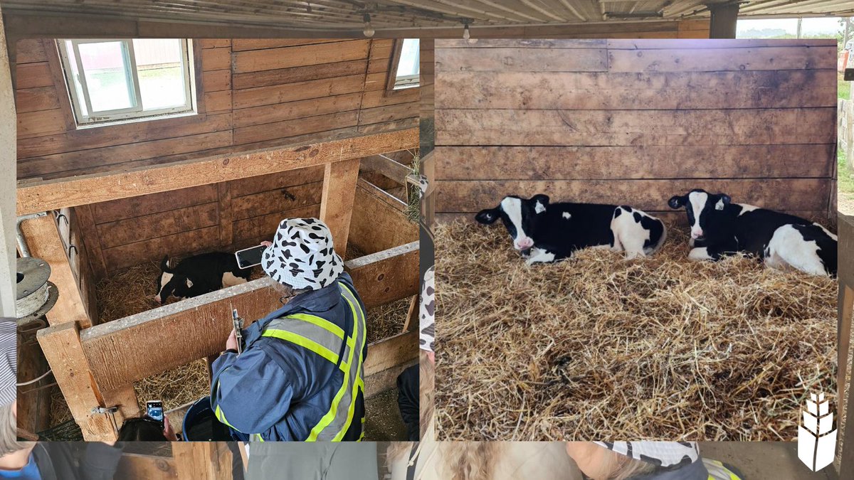 aitcsk's tweet photo. 🥛The final stop of the 2024 Teacher Agriculture Expedition was an amazing tour and experience at Sunnyside Creamery.

🐄Teachers got to see the cows and milking facilities and even got to sample milk from the first dairy farm creamery in Saskatchewan!

#TeachersLearnAg24