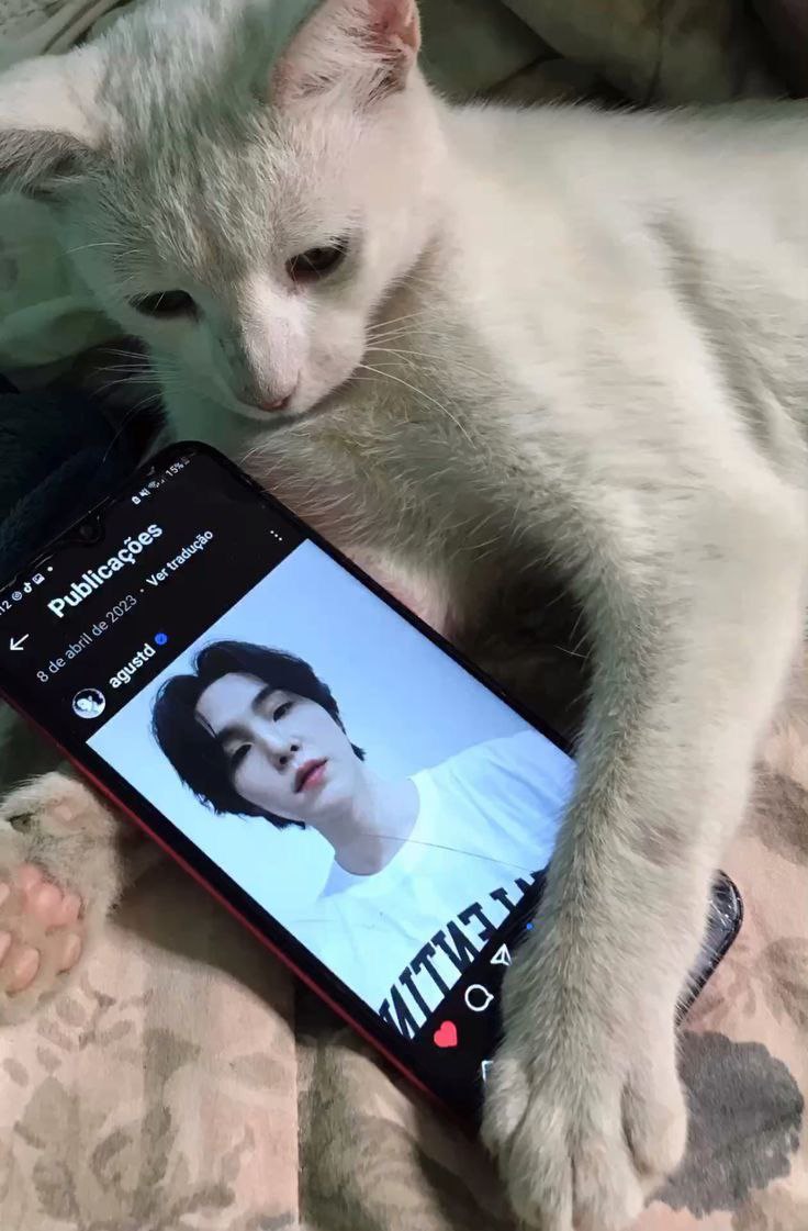 NJD3105's tweet photo. WE LOVE YOU YOONGI
WE LOVE YOU YOONGI
WE LOVE YOU YOONGI
WE LOVE YOU YOONGI
WE LOVE YOU YOONGI
WE LOVE YOU YOONGI
WE LOVE YOU YOONGI https://t.co/61yt8Efqv8