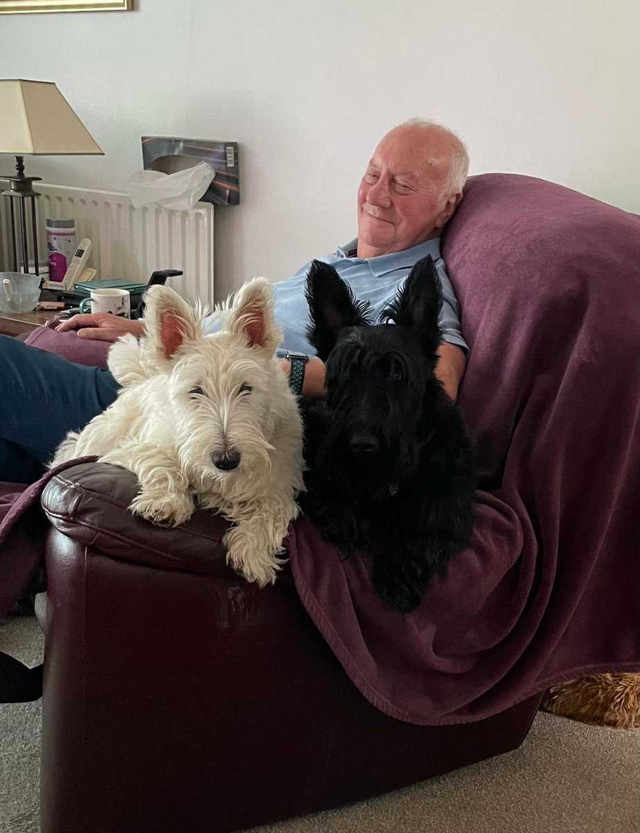 Mark Littlewood-Smart tweet media