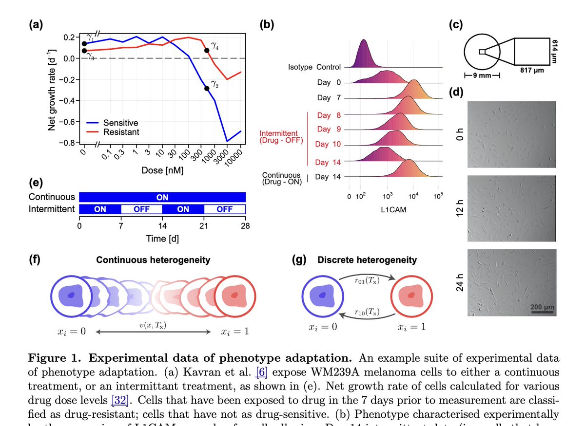 Jeffrey West tweet media