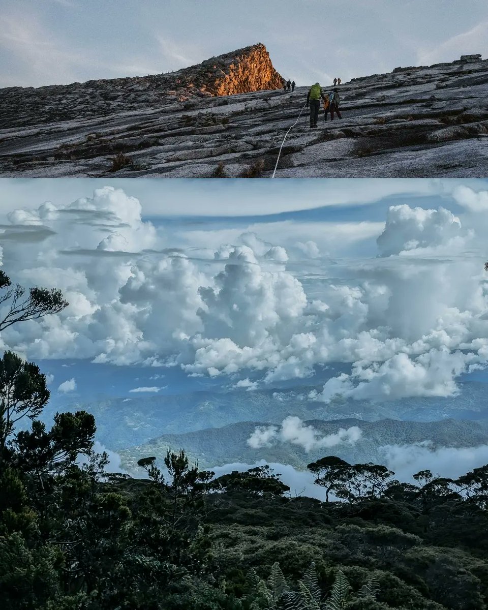 Lara Nouri tweet media