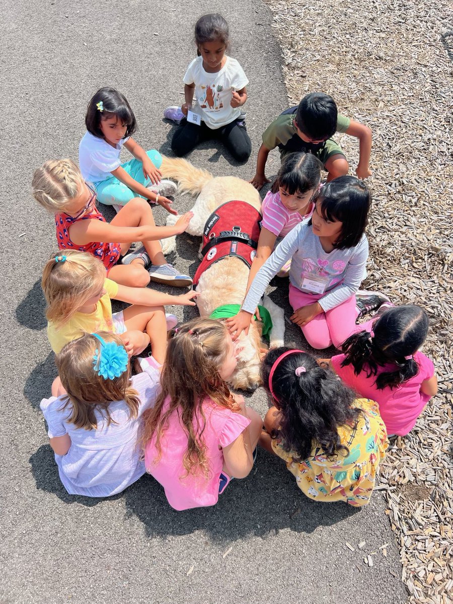 💖Friday fun in Kindergarten 🐶🐾💖#shinelikesable #gibson. #MASONmoment #4PawsforAbility