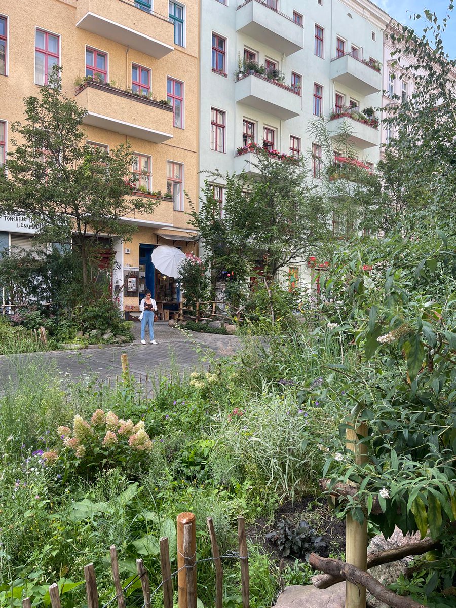 Avny Lavasa tweet media