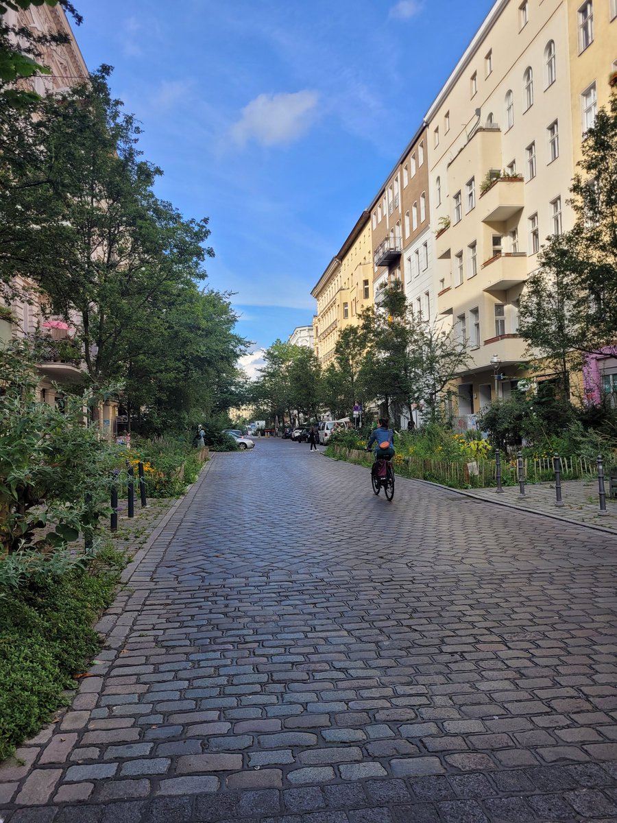 Avny Lavasa tweet media