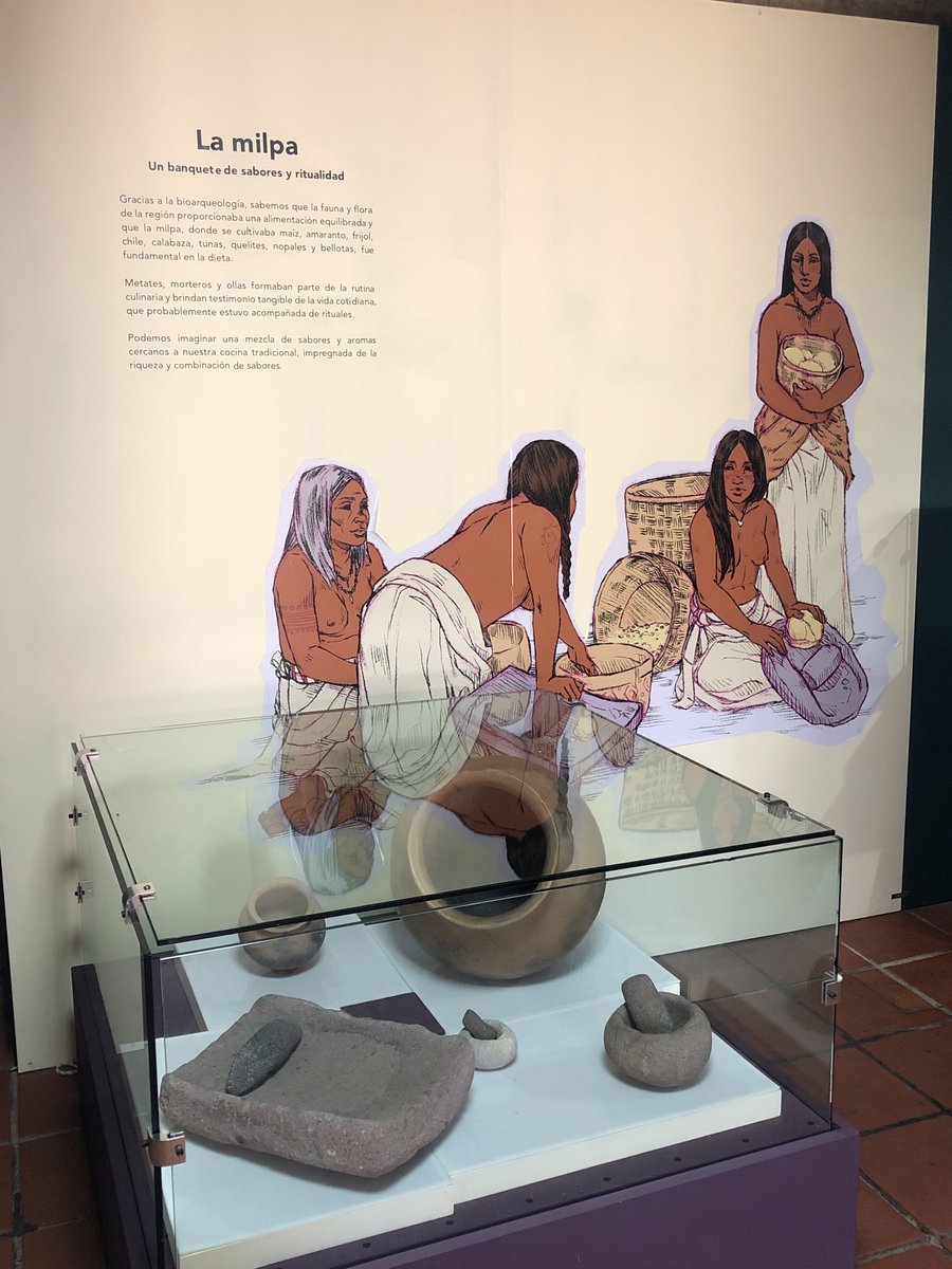 Sagita_d's tweet photo. Muy contenta con la Reapertura del Museo de Sitio de Ferrería en #DurangoMx en el que participé junto con mi sis con una serie de Ilustraciones para acompañar las distintas salas del museo, ¡visítenlo!
Más información en el boletín del INAH 👉 https://t.co/Xh3D3QHHXt https://t.co/sJuI6RItio