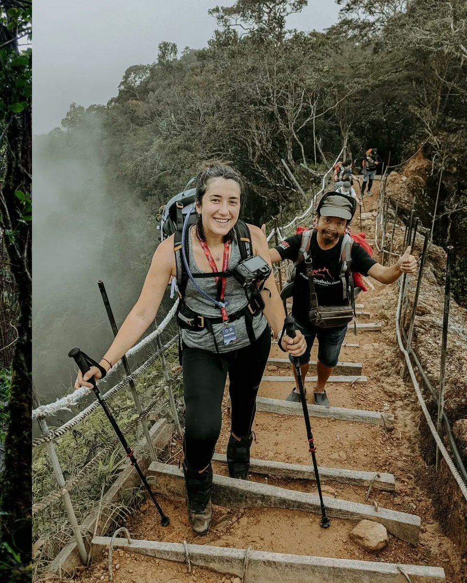 Lara Nouri tweet media