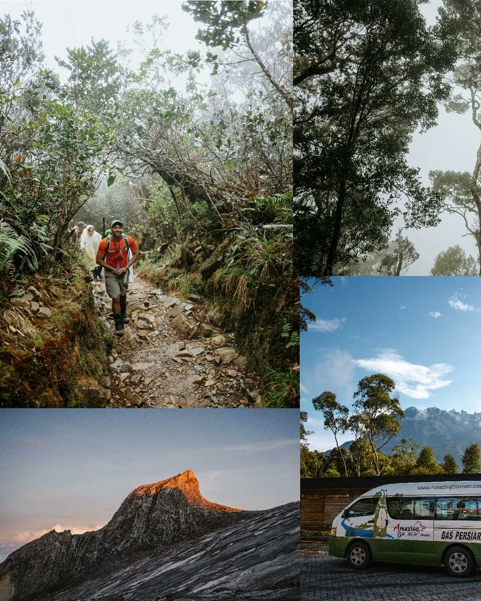 Lara Nouri tweet media