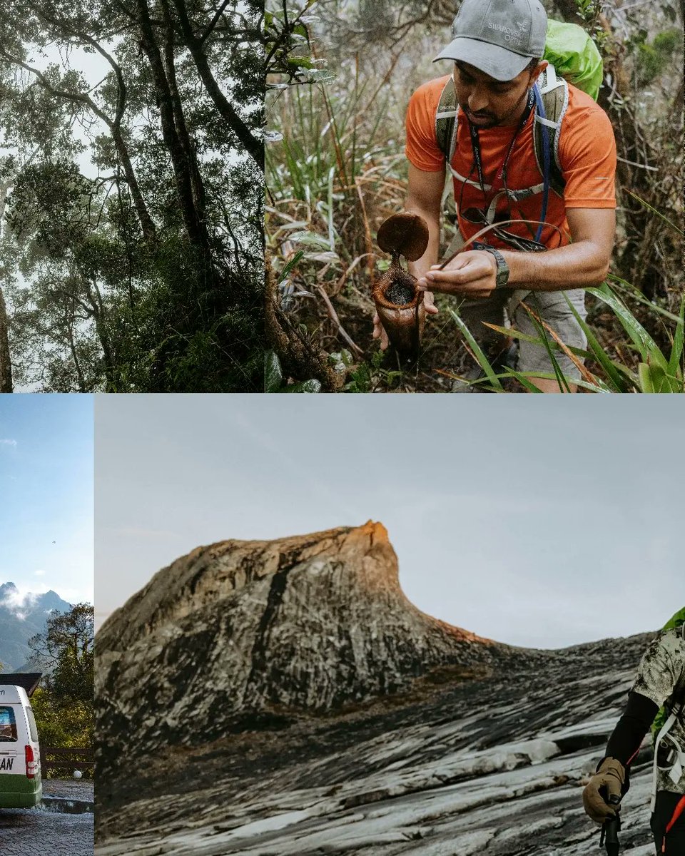 Lara Nouri tweet media