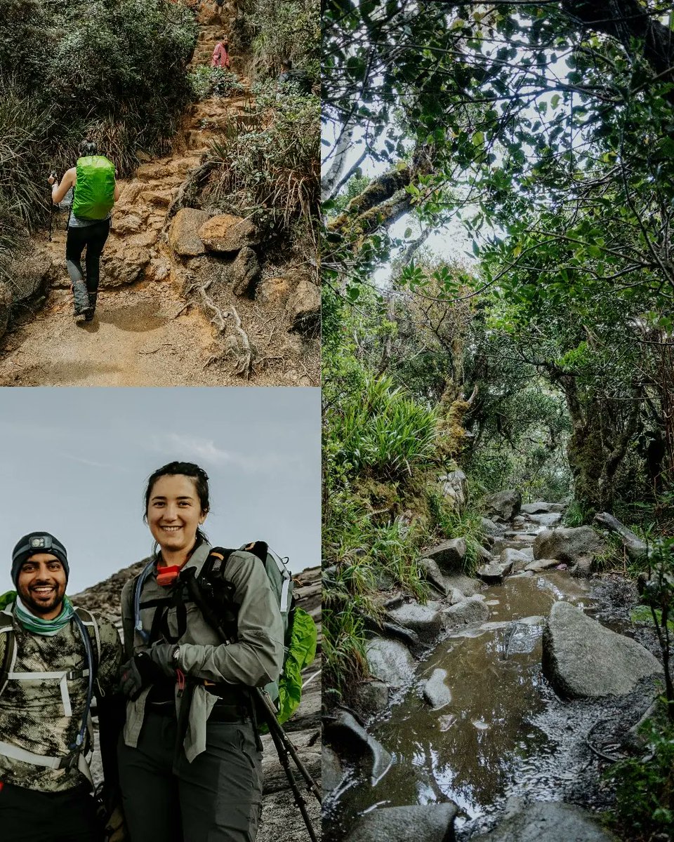 Lara Nouri tweet media